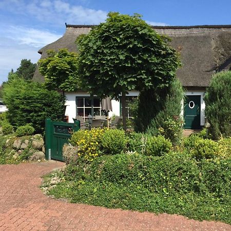 Birkenstrasse 10 Fischerhus Zingst Buitenkant foto